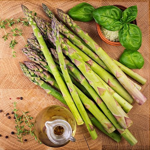 8816  Asparagus officinalis Backlim  I  Svenskt namn  :Sparris  I  Krukstorlek   : SQ2  I  Förväntad Höjd  :  100 cm  I  Blomningstid :  juli - 4