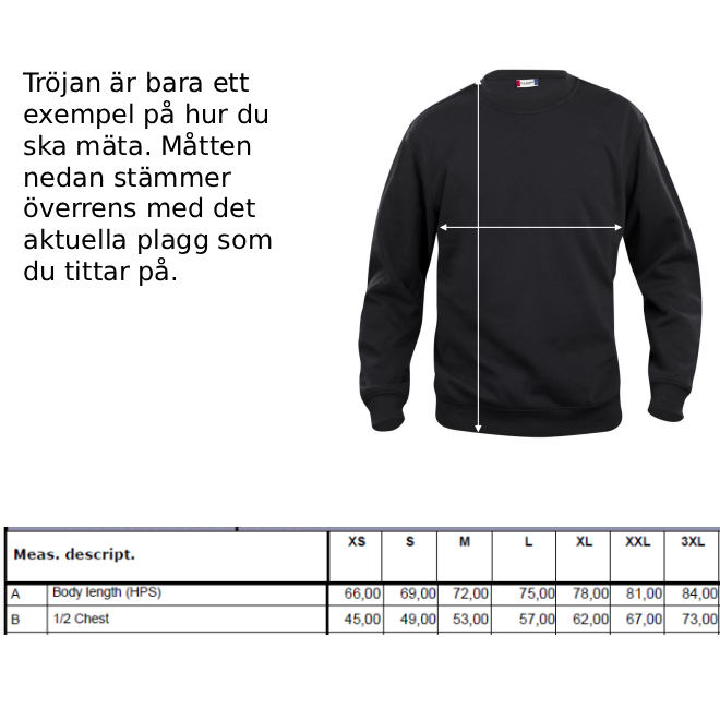 Jubileum Raglan Fullzip Hoodie Herr - 3