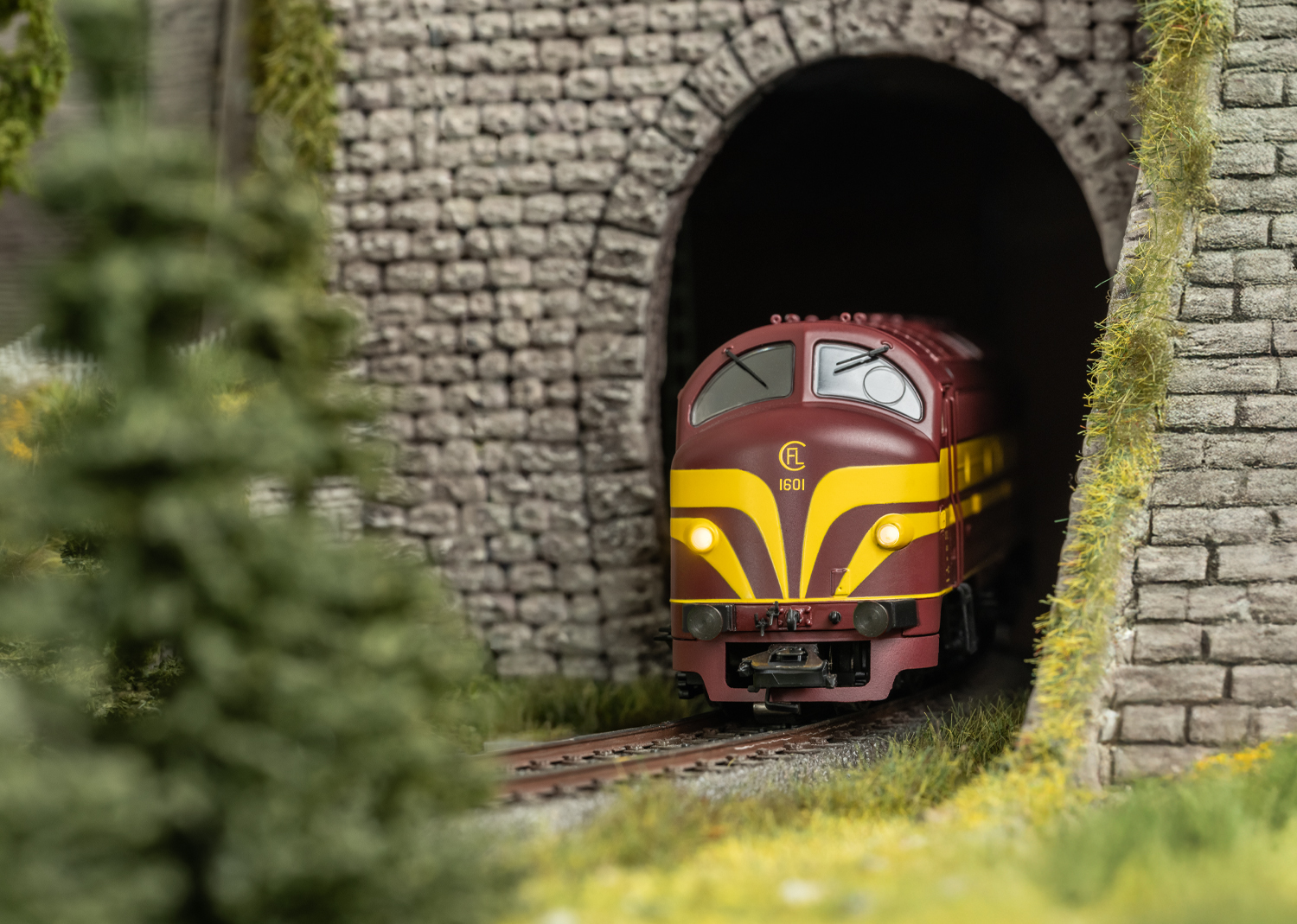 Class 1600 Diesel Locomotive - 2