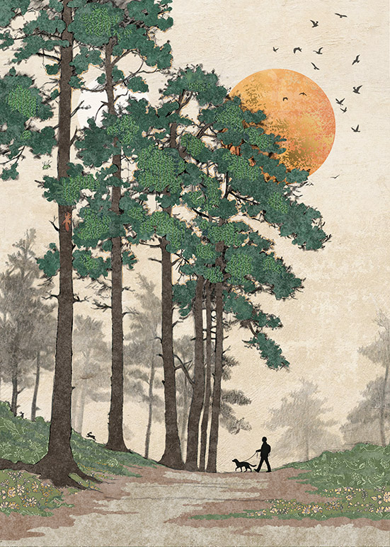 Forest Walk, Greeting Card