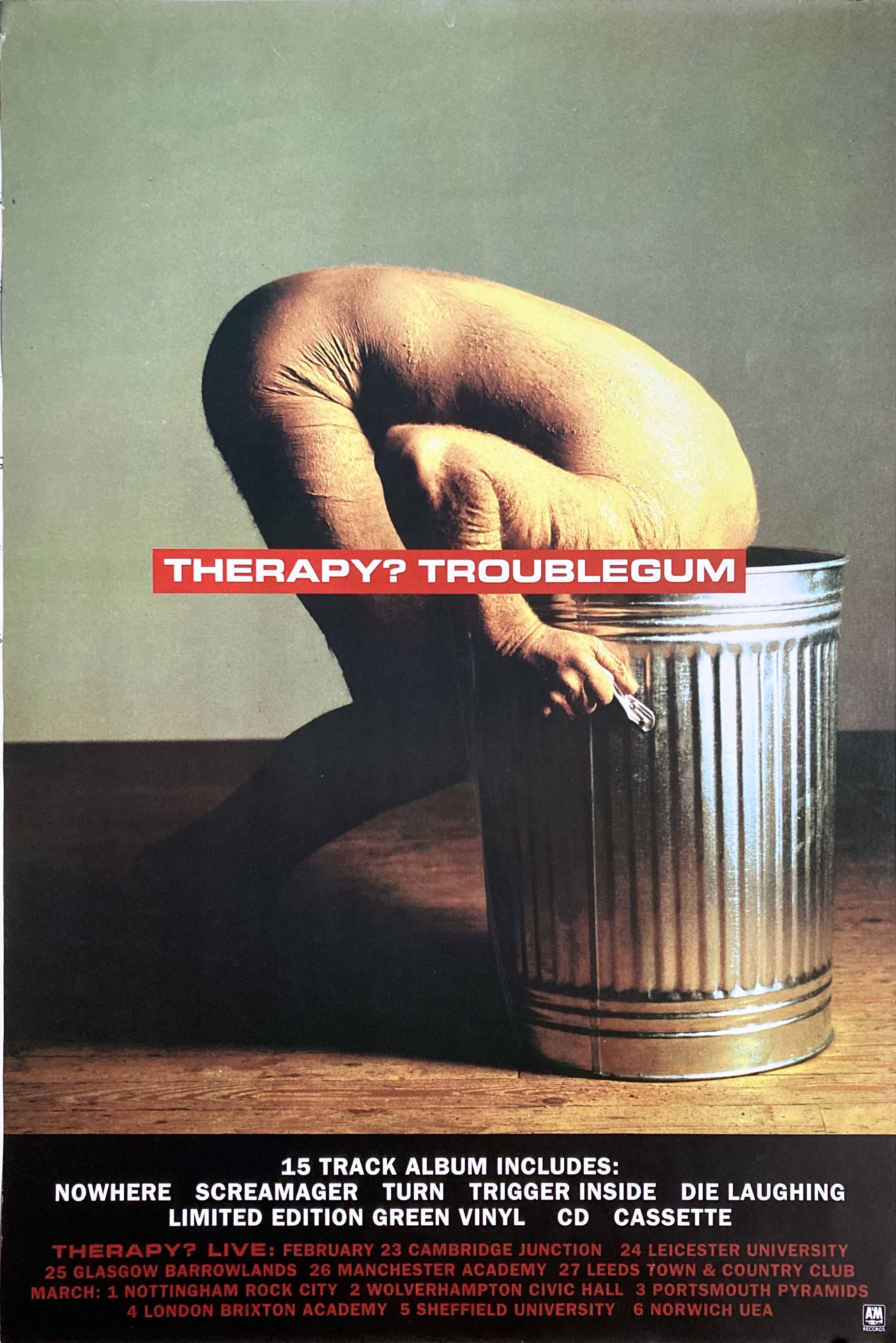 THERAPY? Troublegum (1994) LP & CD Promo poster - 2
