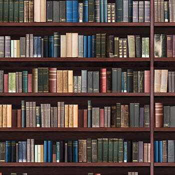 Library wall - wallpaper - A3
