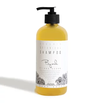 Schampo Björk  Citrus och Ceder 500ml Kaliflower Organics
