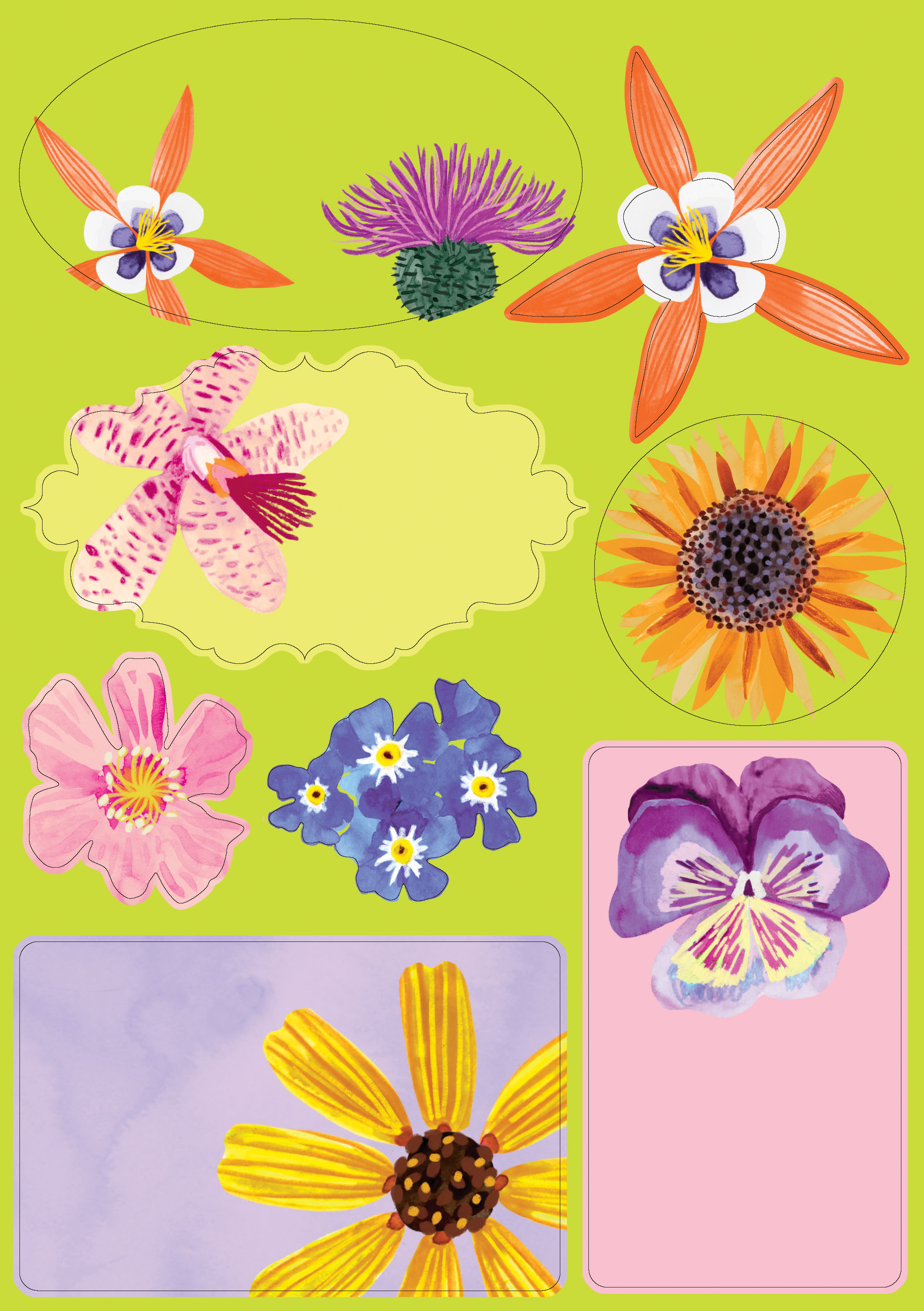 Floral Supernova Writing Paper Set - 4