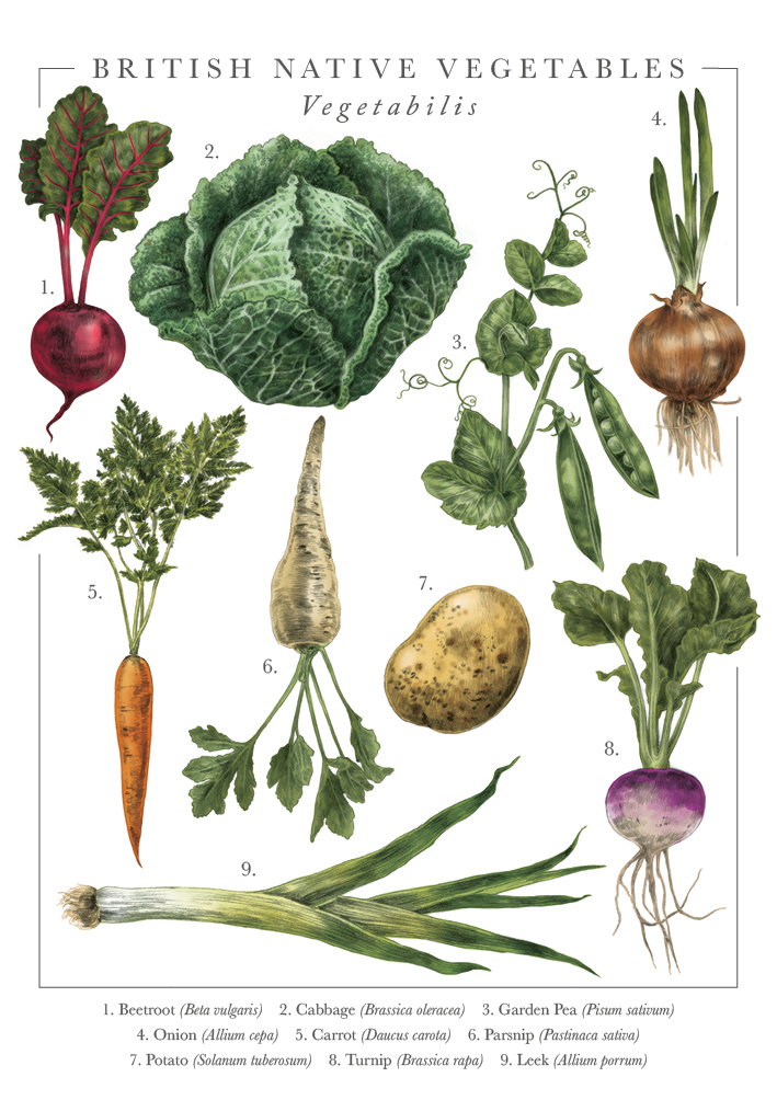 Nature'S Pocketbook Vegetables Card