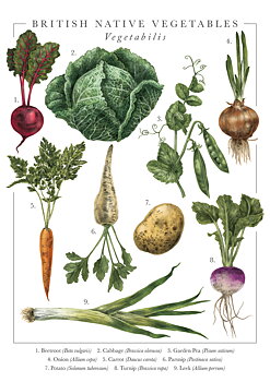 Nature'S Pocketbook Vegetables Card