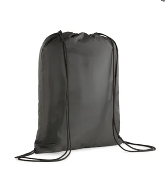 Puma Teamgoal Gymsack (BK Astrio Övrigt)