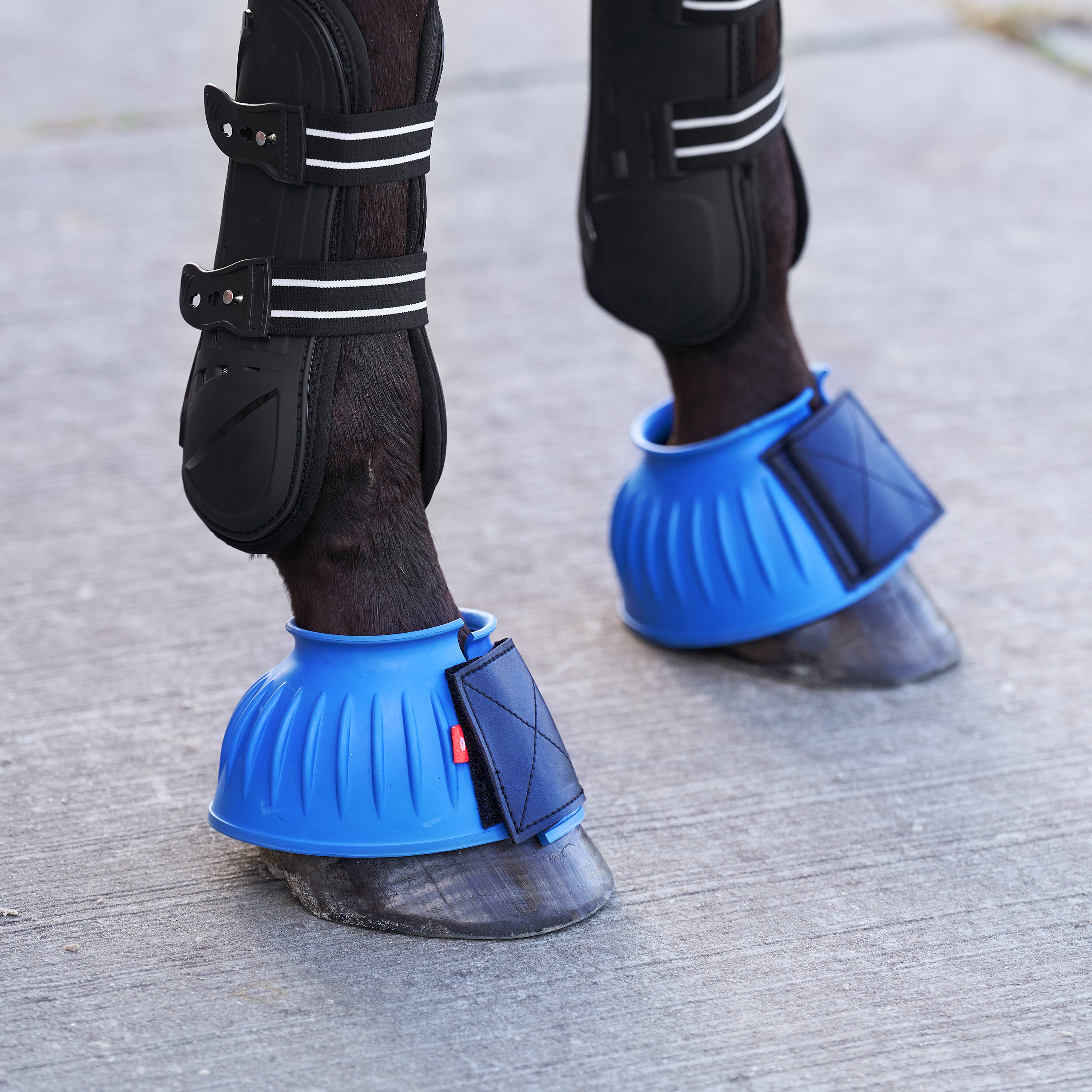 Imperial Riding Boots IRHBells - Moonstone