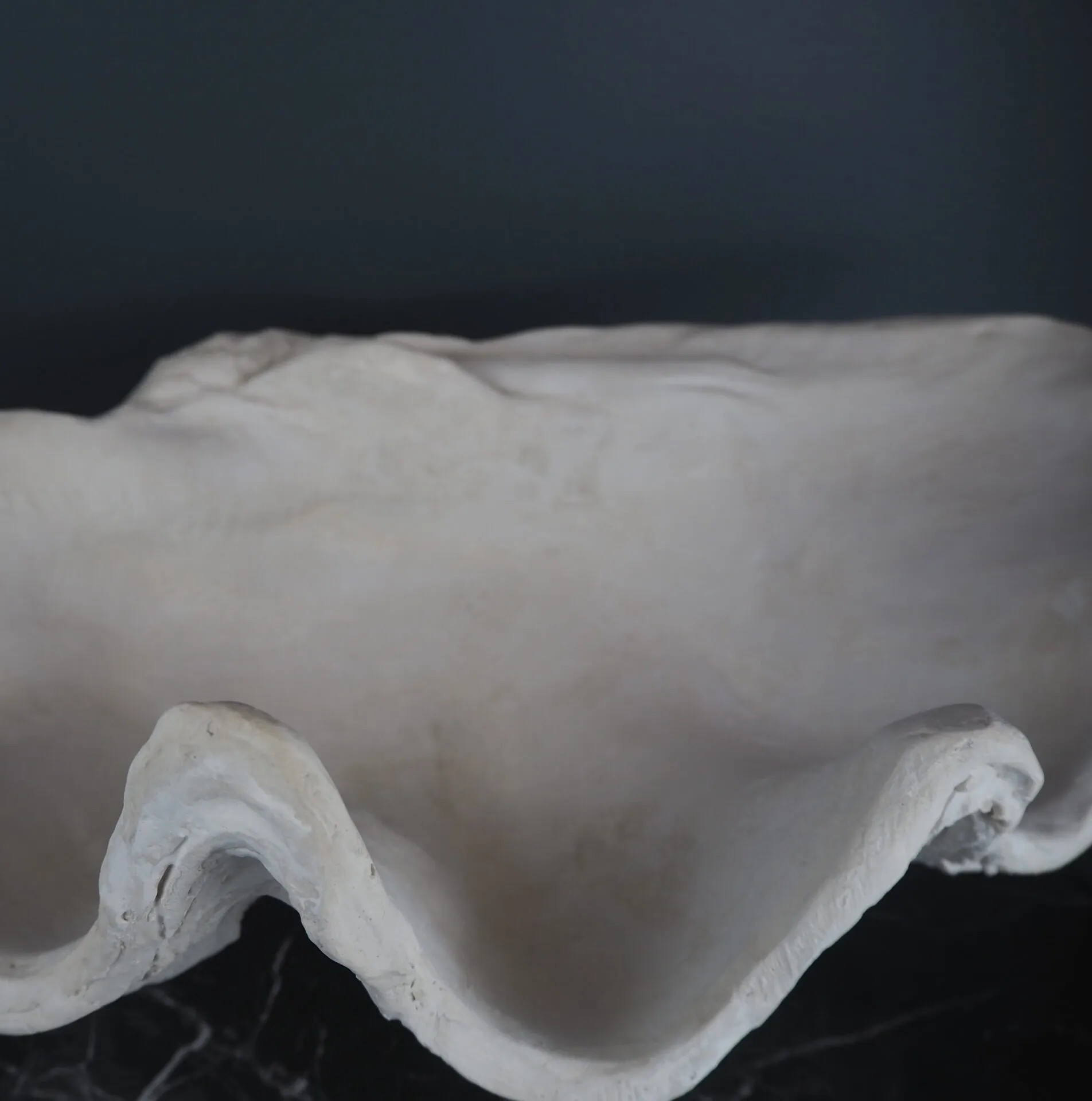 Clam Shell Large - 3
