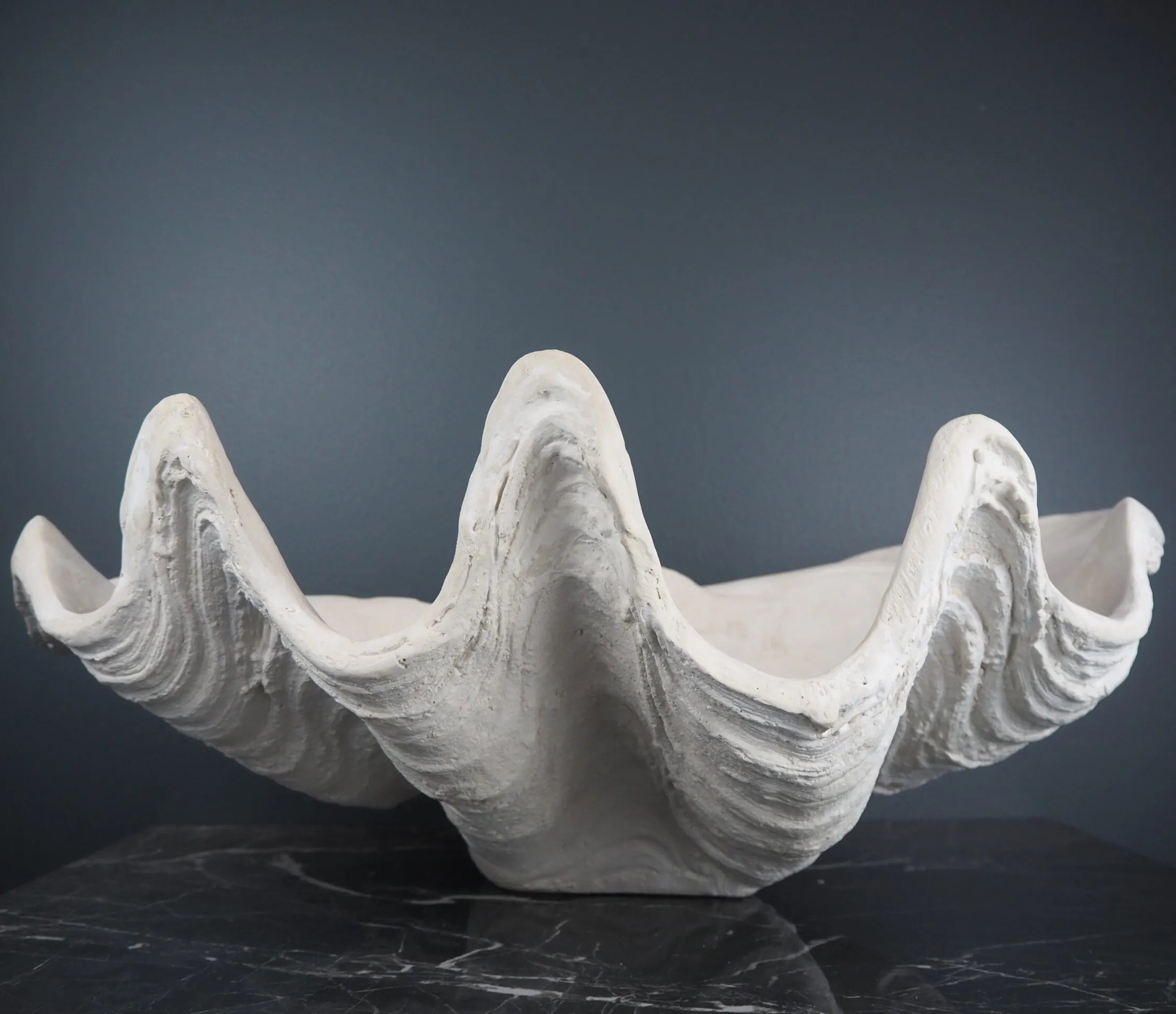 Clam Shell Large