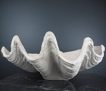 Clam Shell Large