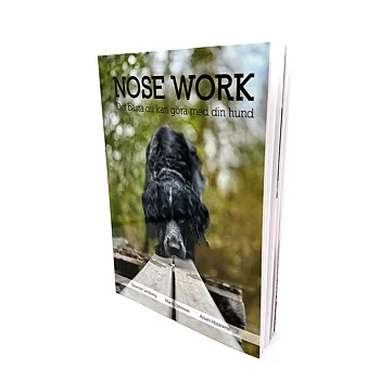 Nose work - det bästa du kan göra med din hund