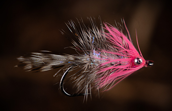 Futurefly Coastal Flies