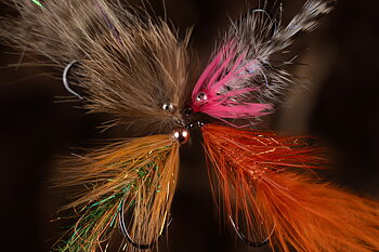 Futurefly Coastal Flies