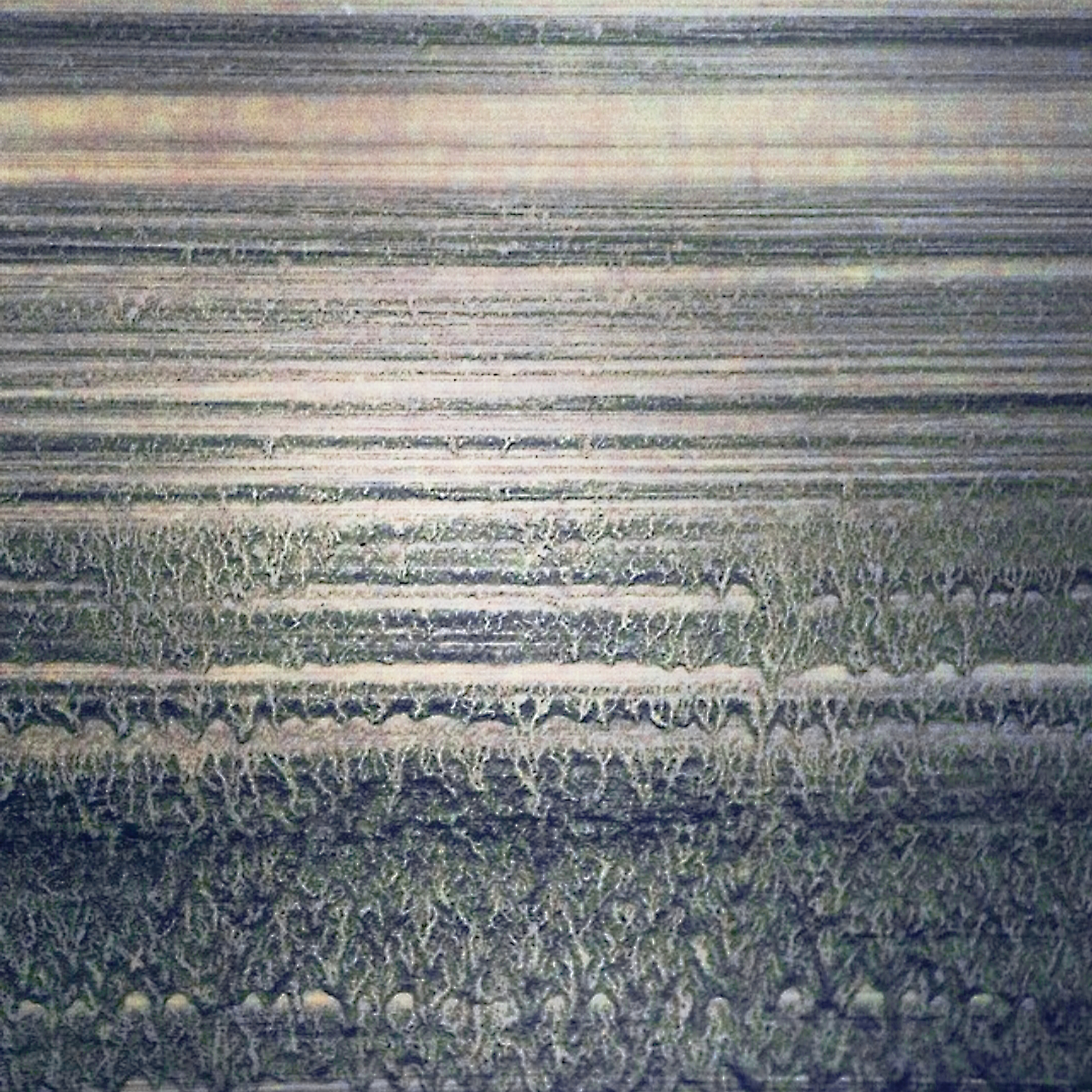 Ribe - Será / SEMANTICA