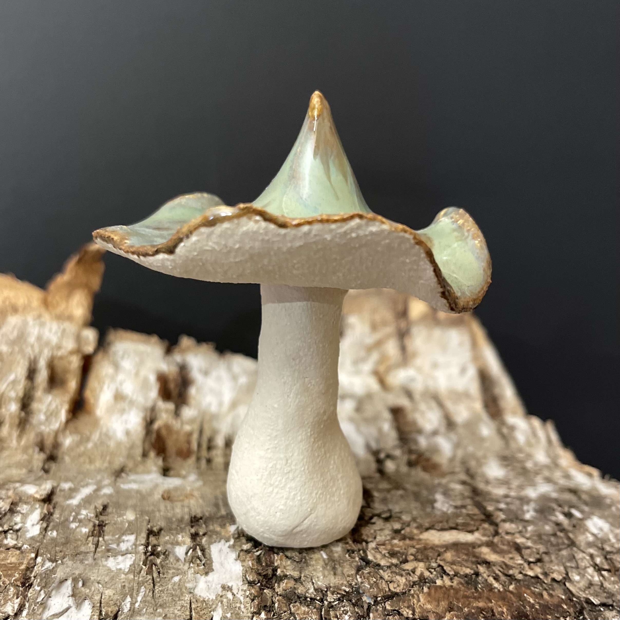 Sopp  Grønn - 3