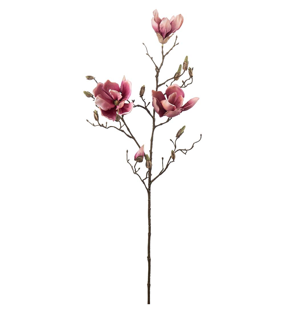 Magnolia Kvist Lila 88 cm