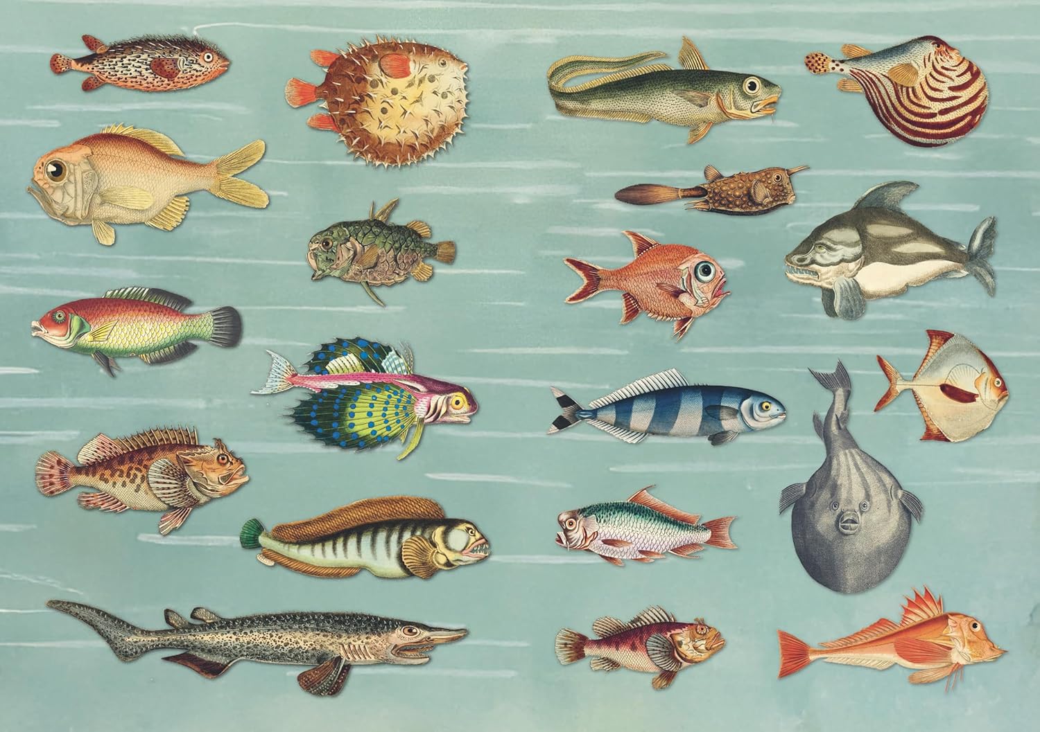 The Curious Collections Sticker Book - 8