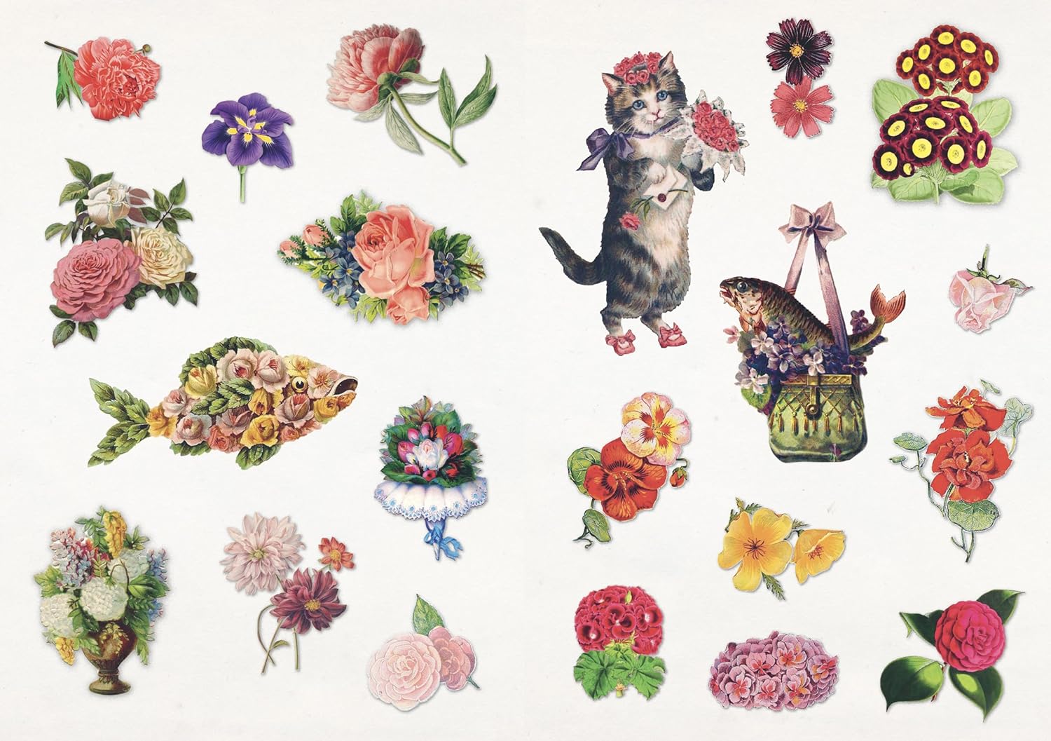 The Curious Collections Sticker Book - 12