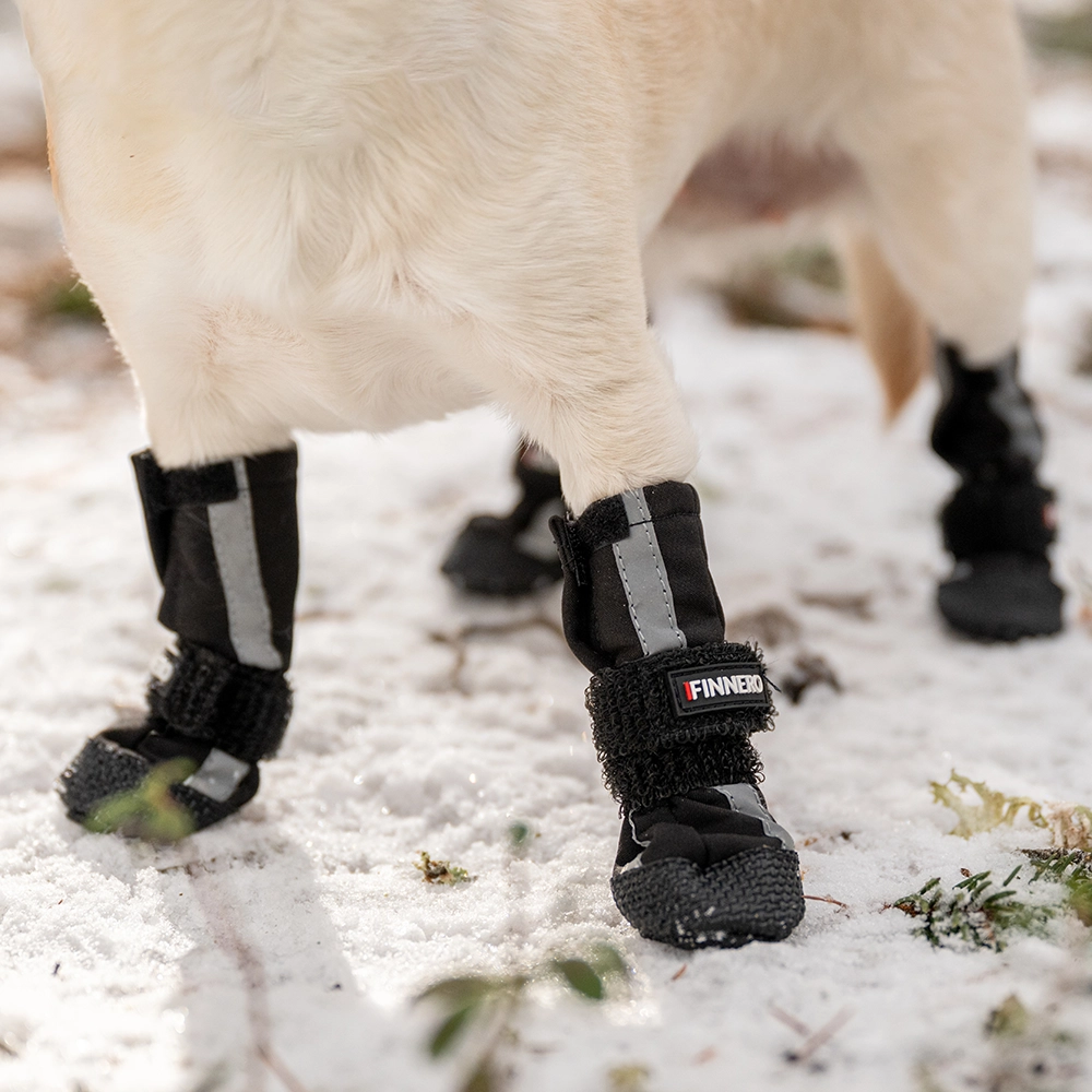 Halla softshell dog socks 4-pack