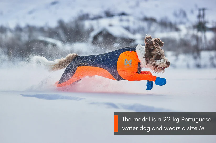 Non-stop dogwear Protector Snow – skyddsoverall mot snö, kyla och isbildning - 2