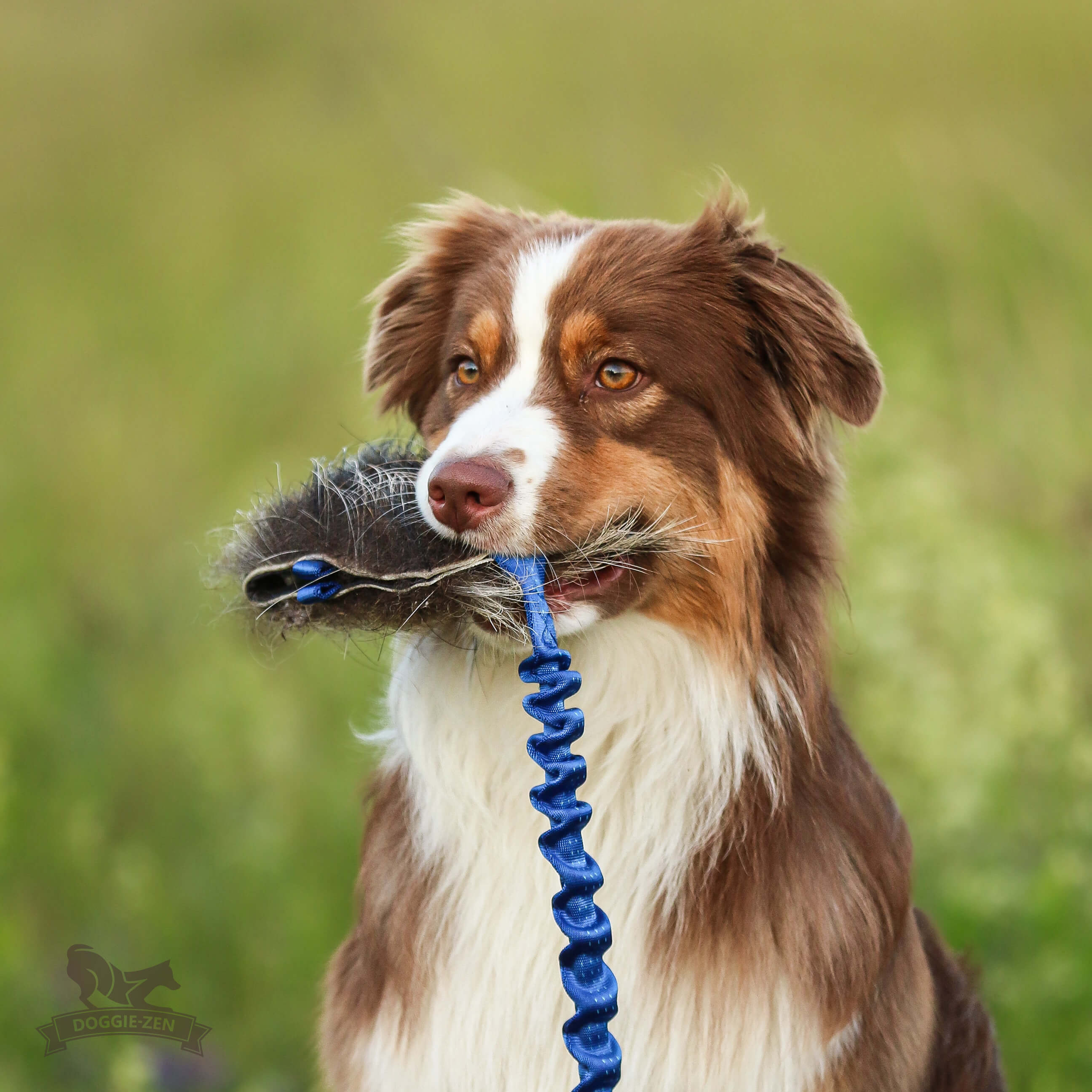 Bungee Treat Tug Wild Boar L - 3