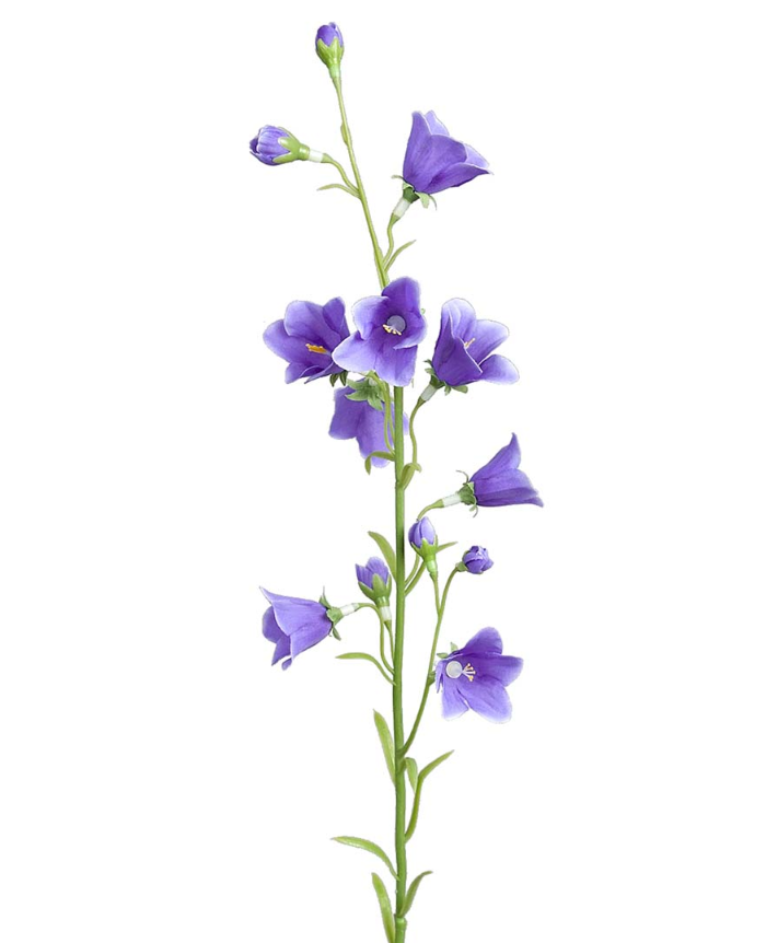 Blåklocka 65 cm – Elegant & Somrig Dekoration