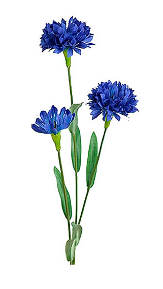 Blåklint 50 cm – Klassisk & Naturtrogen Dekoration