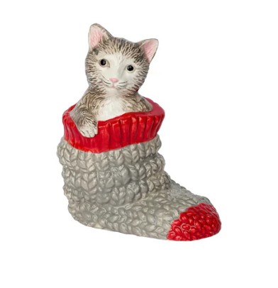 Raggsockskatt