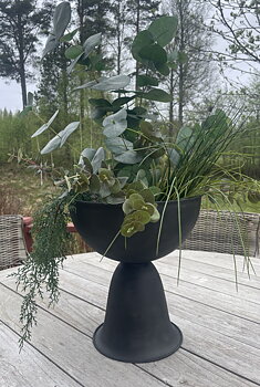 1. Levi pokal 