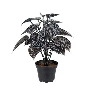 Silverranka Konstgjord 25 cm – Stilren & Lättplacerad Dekoration