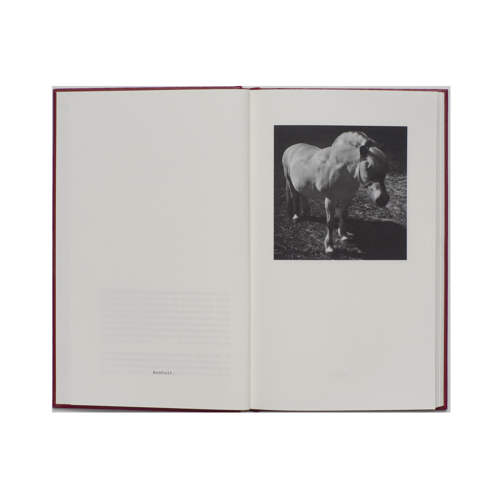 Jerker Andersson: Animal Diary - 4