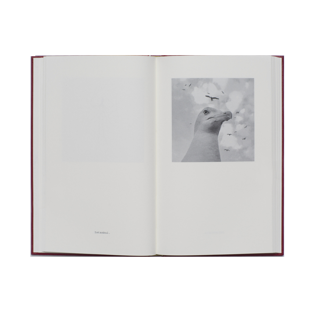 Jerker Andersson: Animal Diary - 5