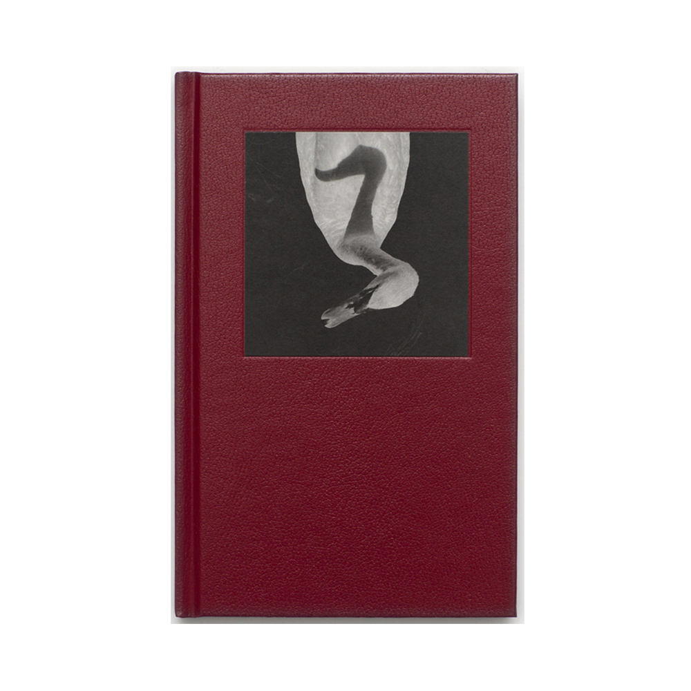Jerker Andersson: Animal Diary