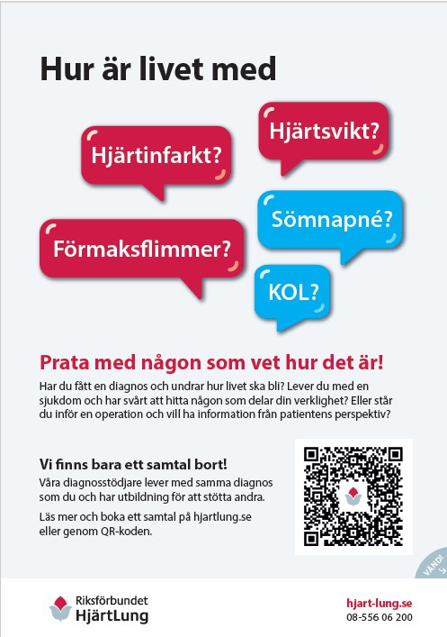 Diagnosstödjare - 2-sidig flyer