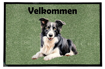Dørmatte Bodercollie 5