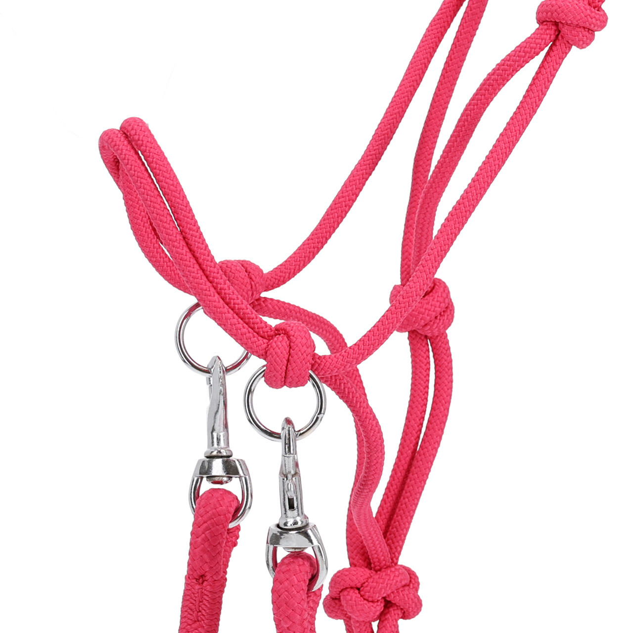 Repgrimma fuchsia - 3