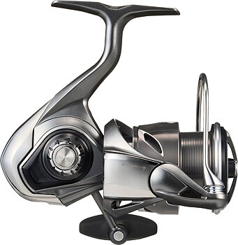 Daiwa 25 Caldia FC LT