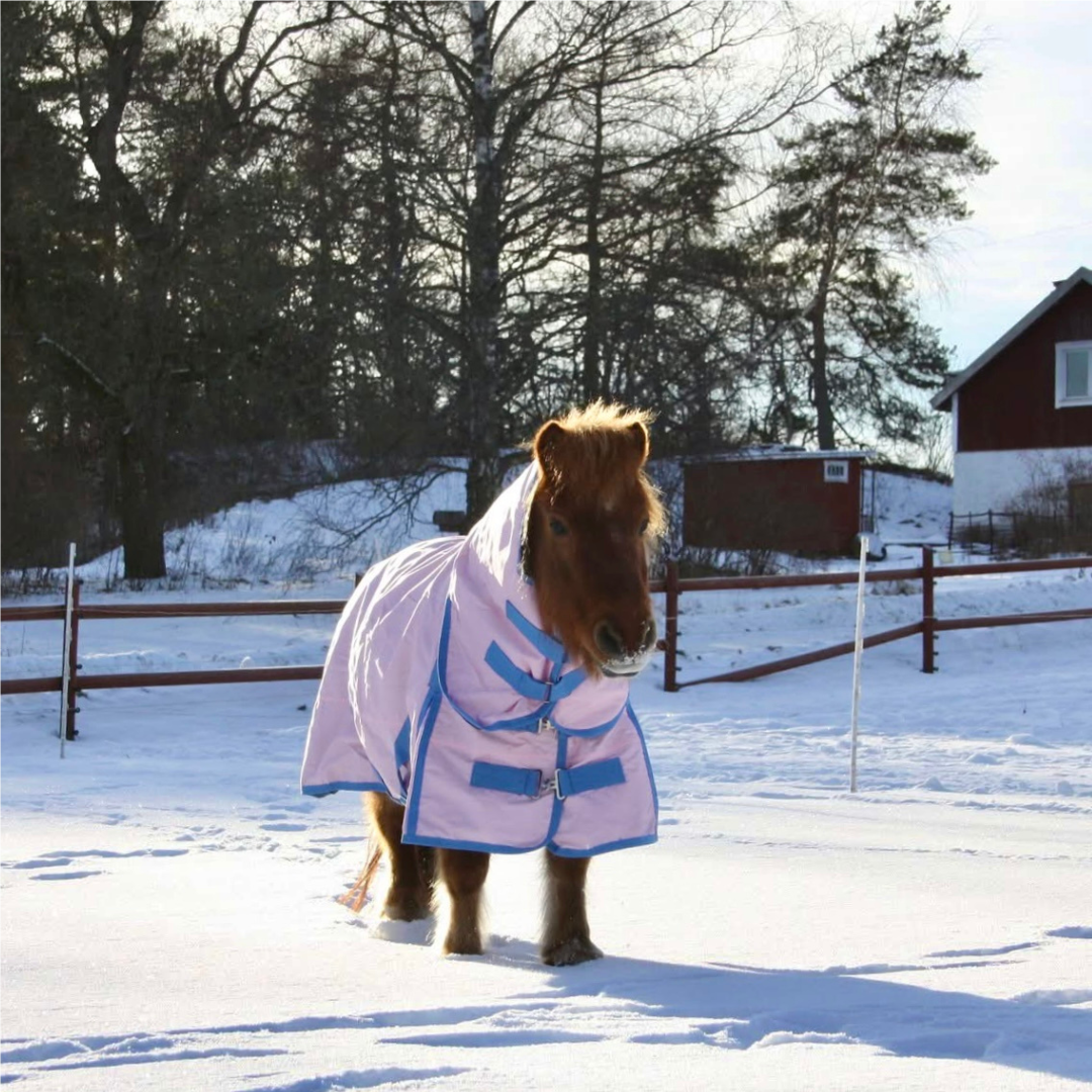 SWEDISH COLLECTION (LIPPO) 50GR PONYRUG 600D WITH REMOVABLE NECK - 7