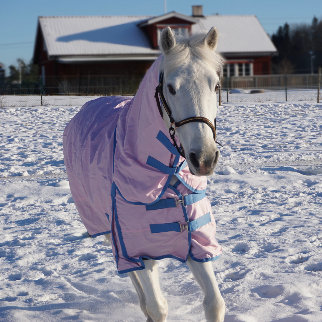SWEDISH COLLECTION (LIPPO) 50GR PONYRUG 600D WITH REMOVABLE NECK