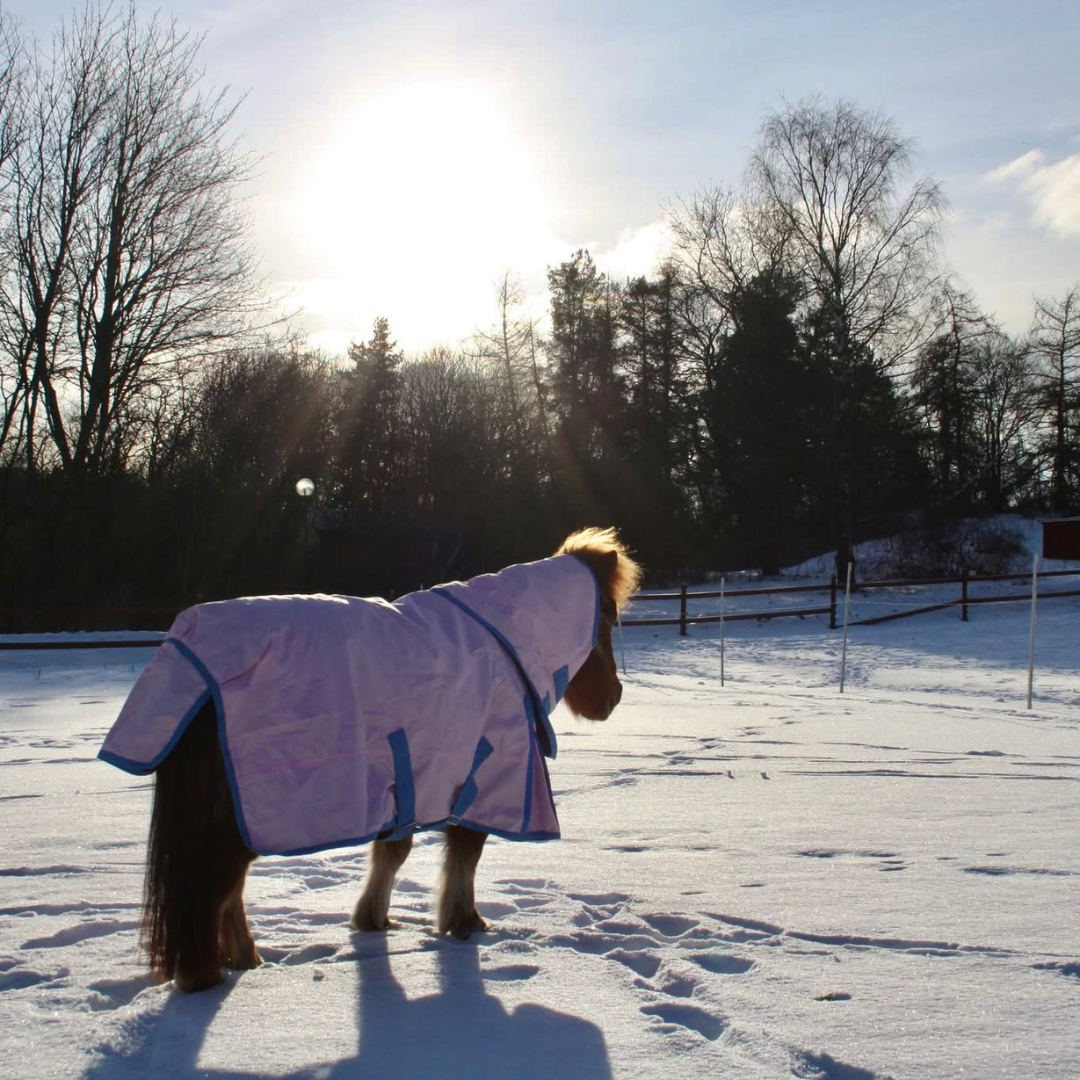 SWEDISH COLLECTION (LIPPO) 50GR PONYRUG 600D WITH REMOVABLE NECK - 6