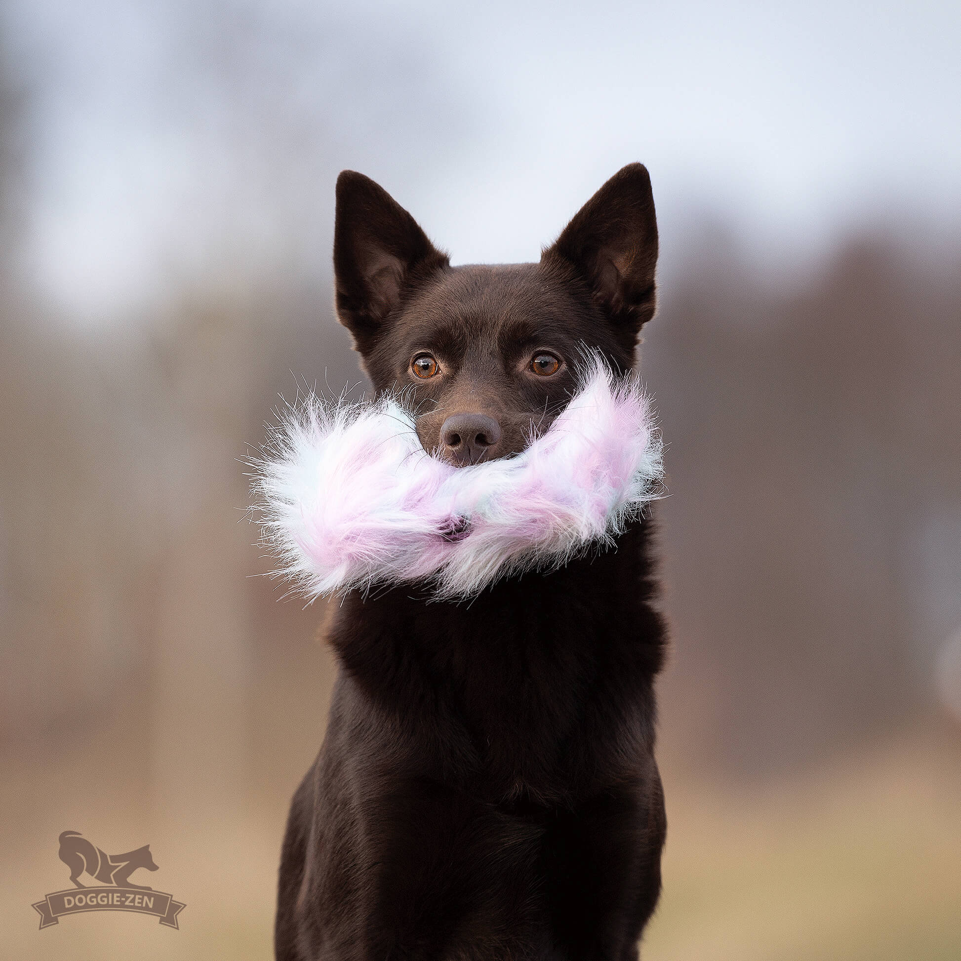 Treat Pocket Fake Fur L - 6