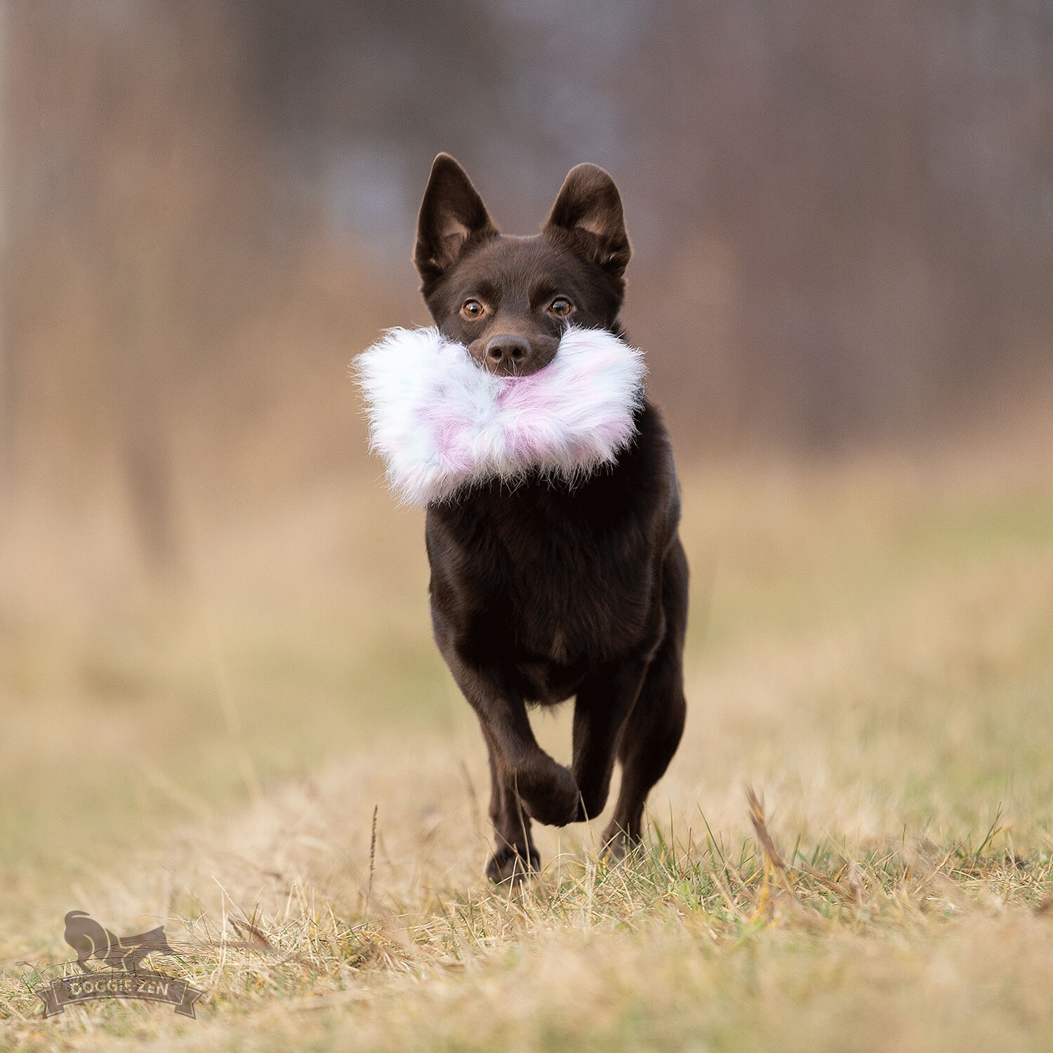 Treat Pocket Fake Fur L - 8