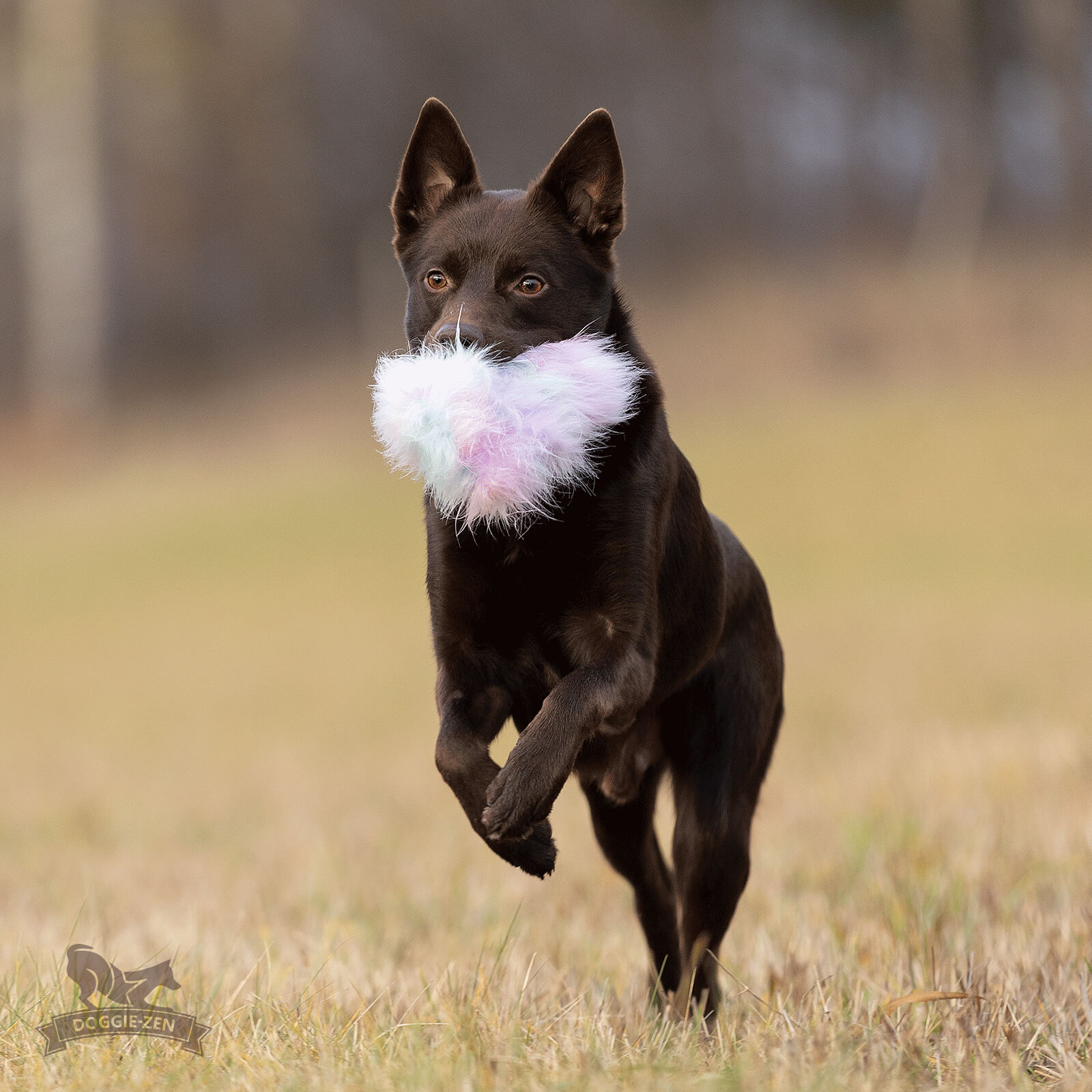 Treat Pocket Fake Fur L - 9