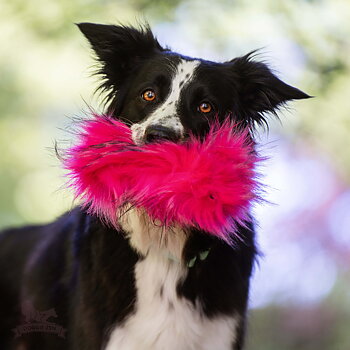 Treat Pocket Fake Fur L