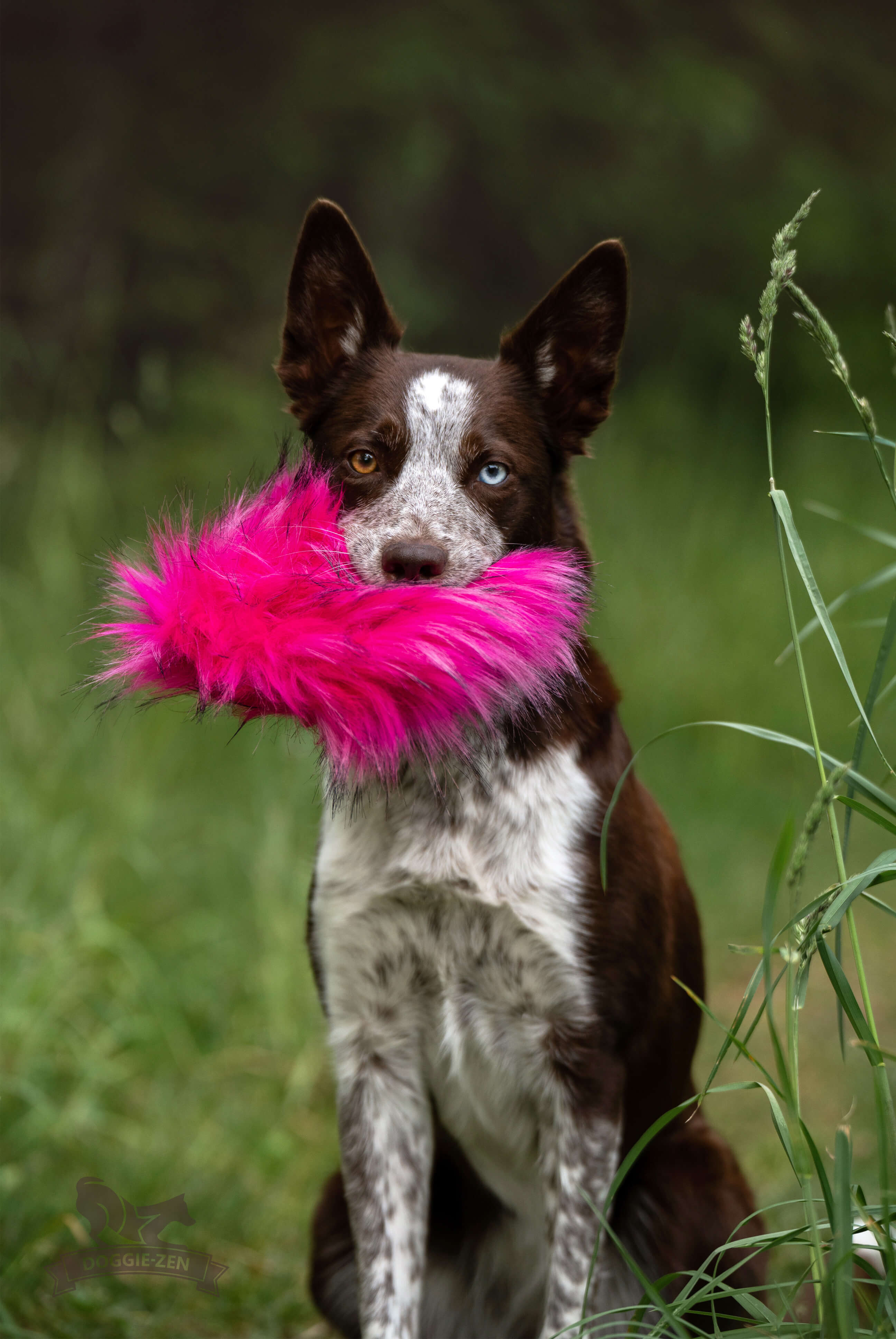 Treat Pocket Fake Fur L - 7