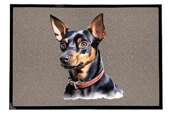 Dørmatte Pinscher 1