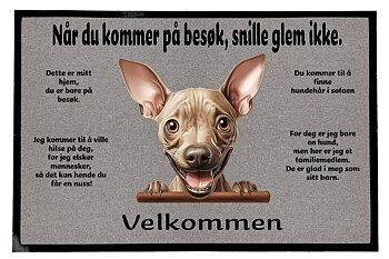 Dørmatte Amerikansk hårløs terrier 1