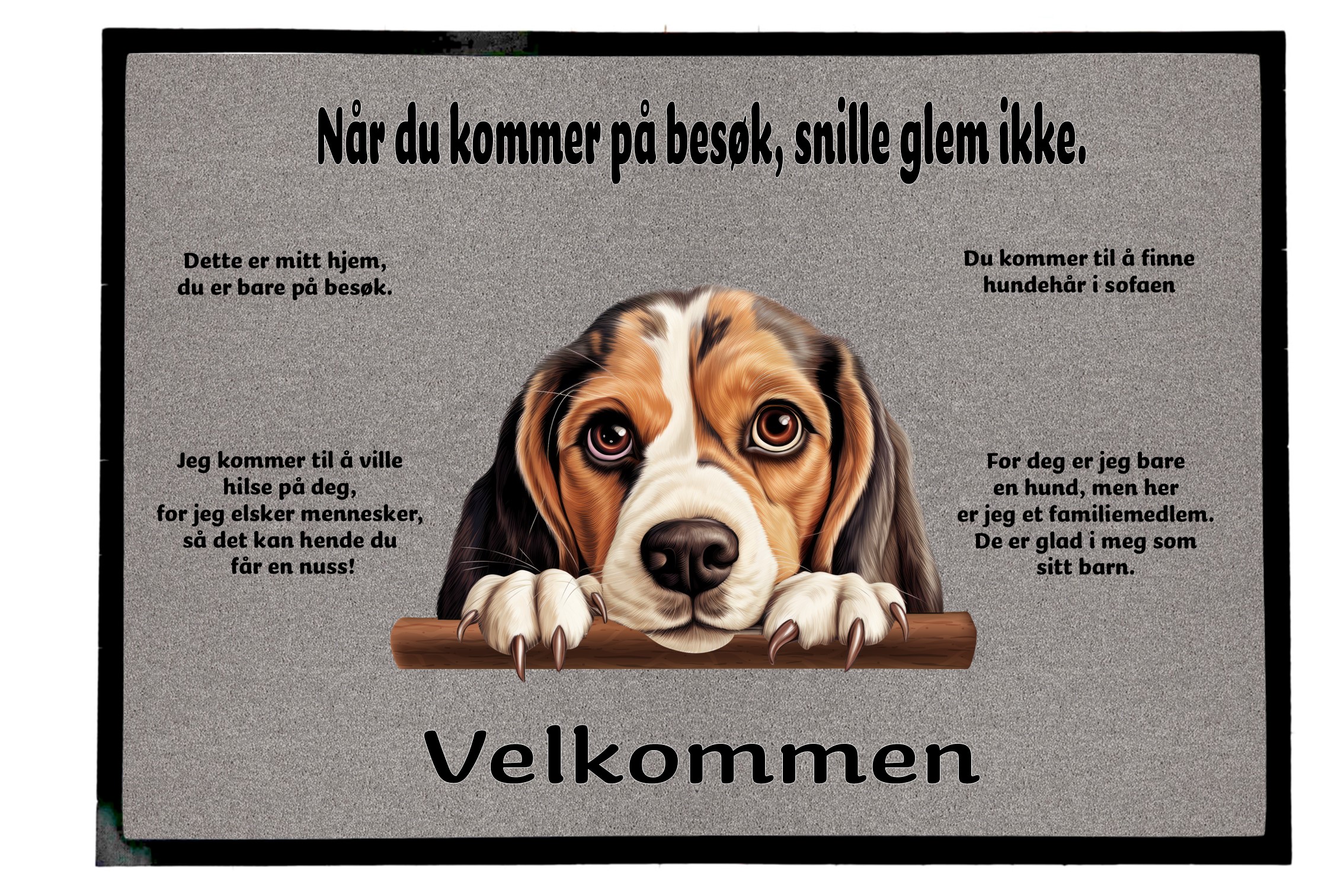 Dørmatte Begel 4
