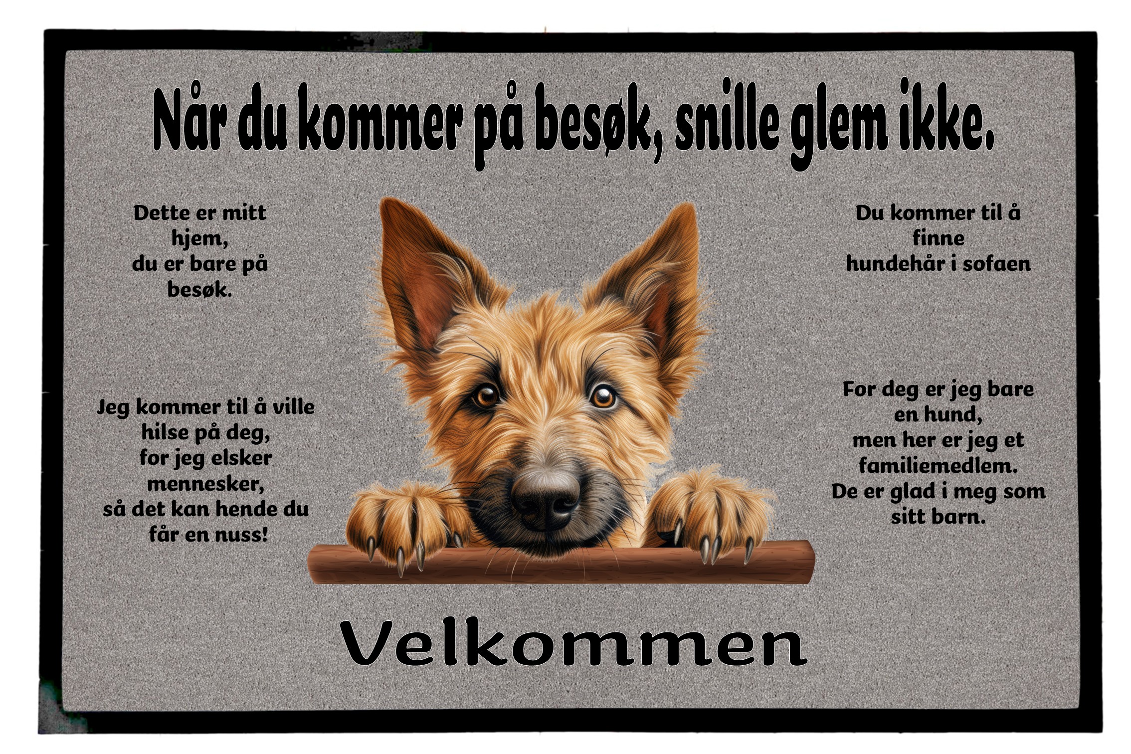 Dørmatte Berger Picard 1